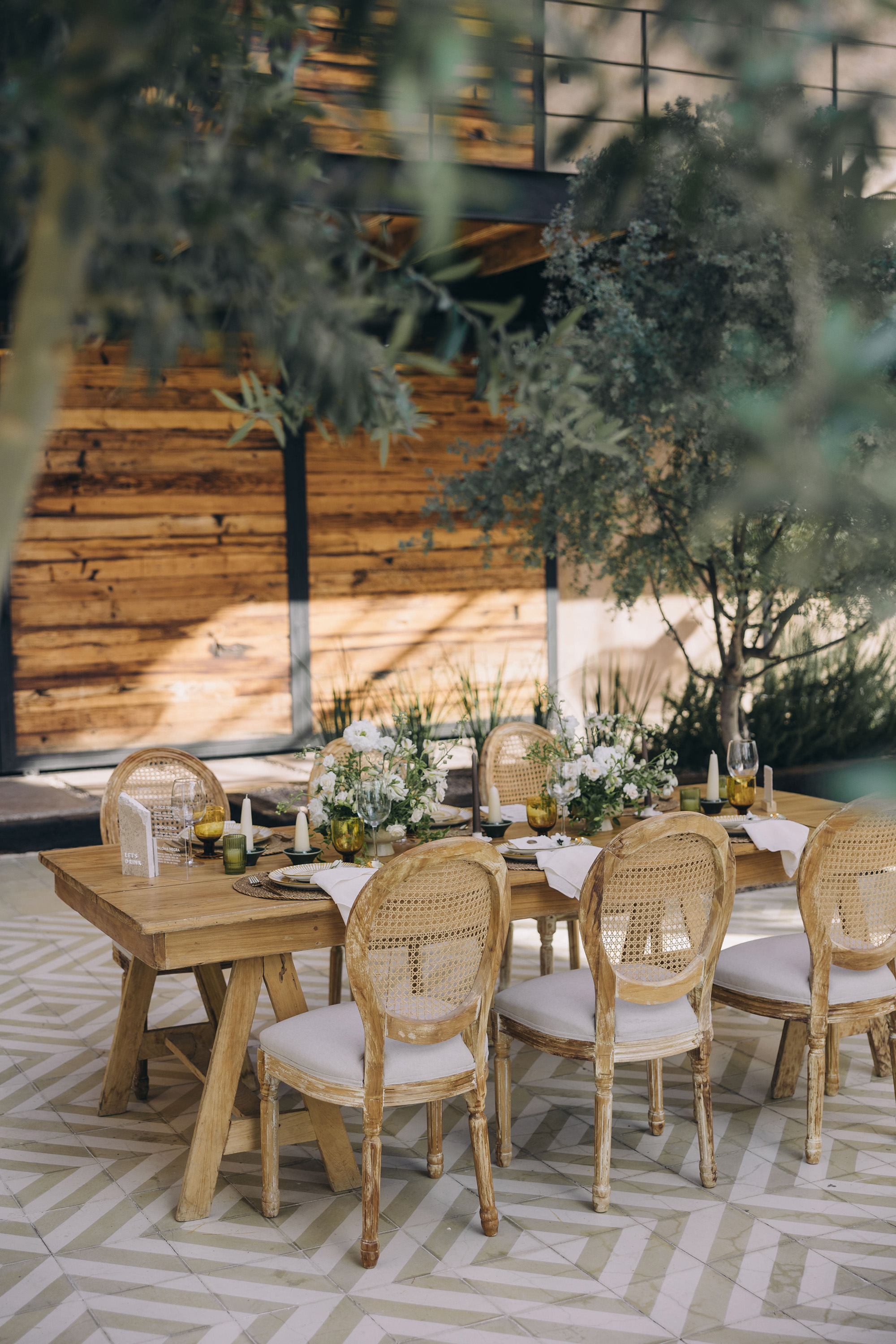 A long wedding table set under olive trees
